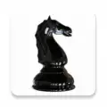 World Chess Championship